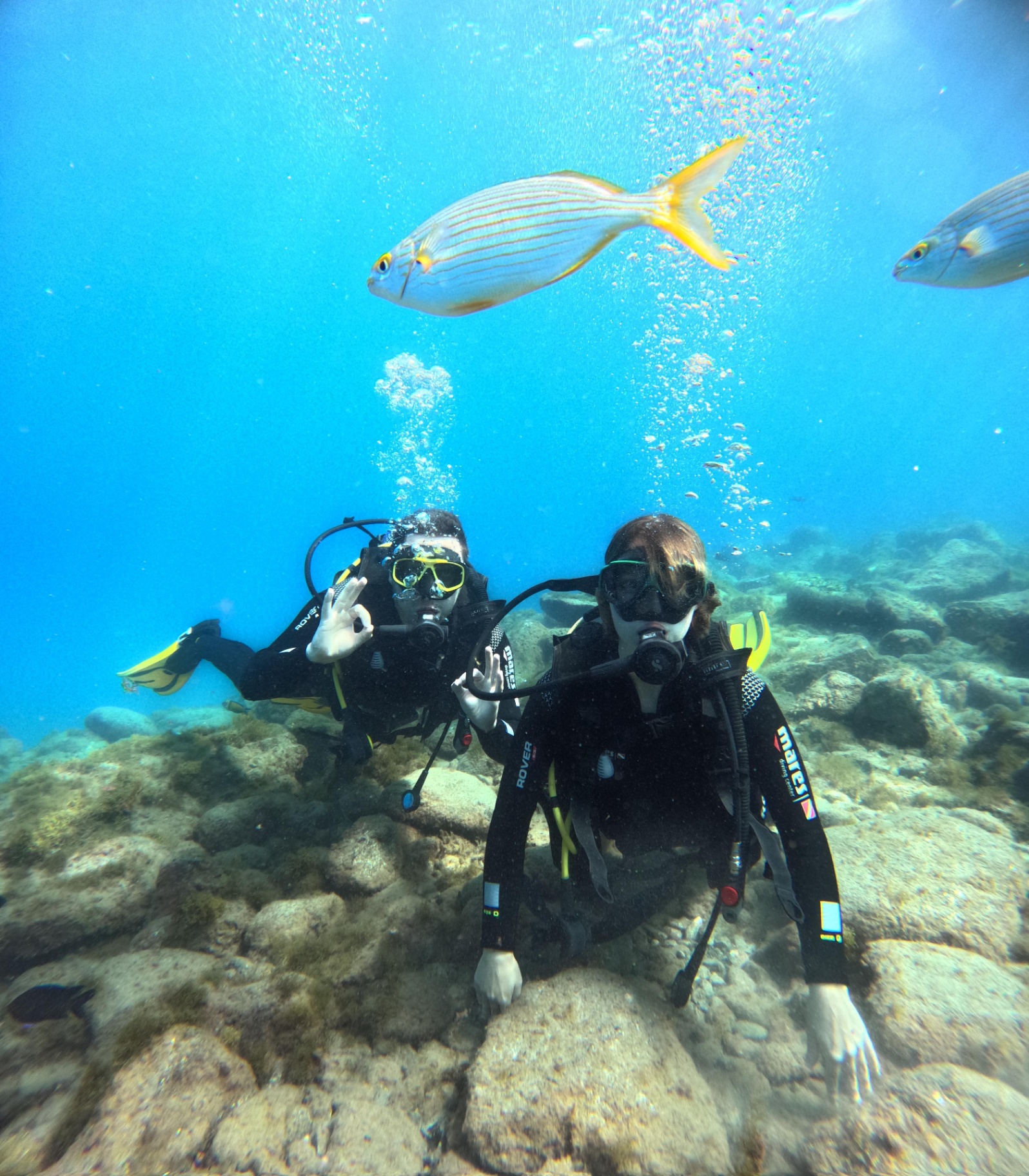 Scuba diving in Tenerife